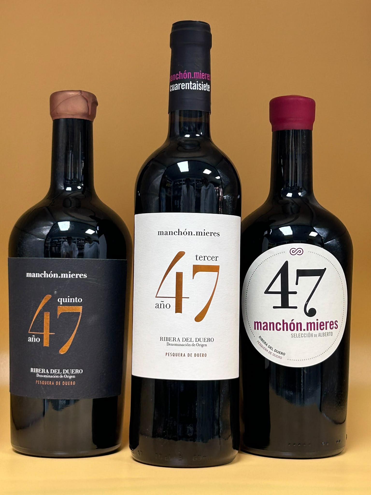 47 Manchón Mieres