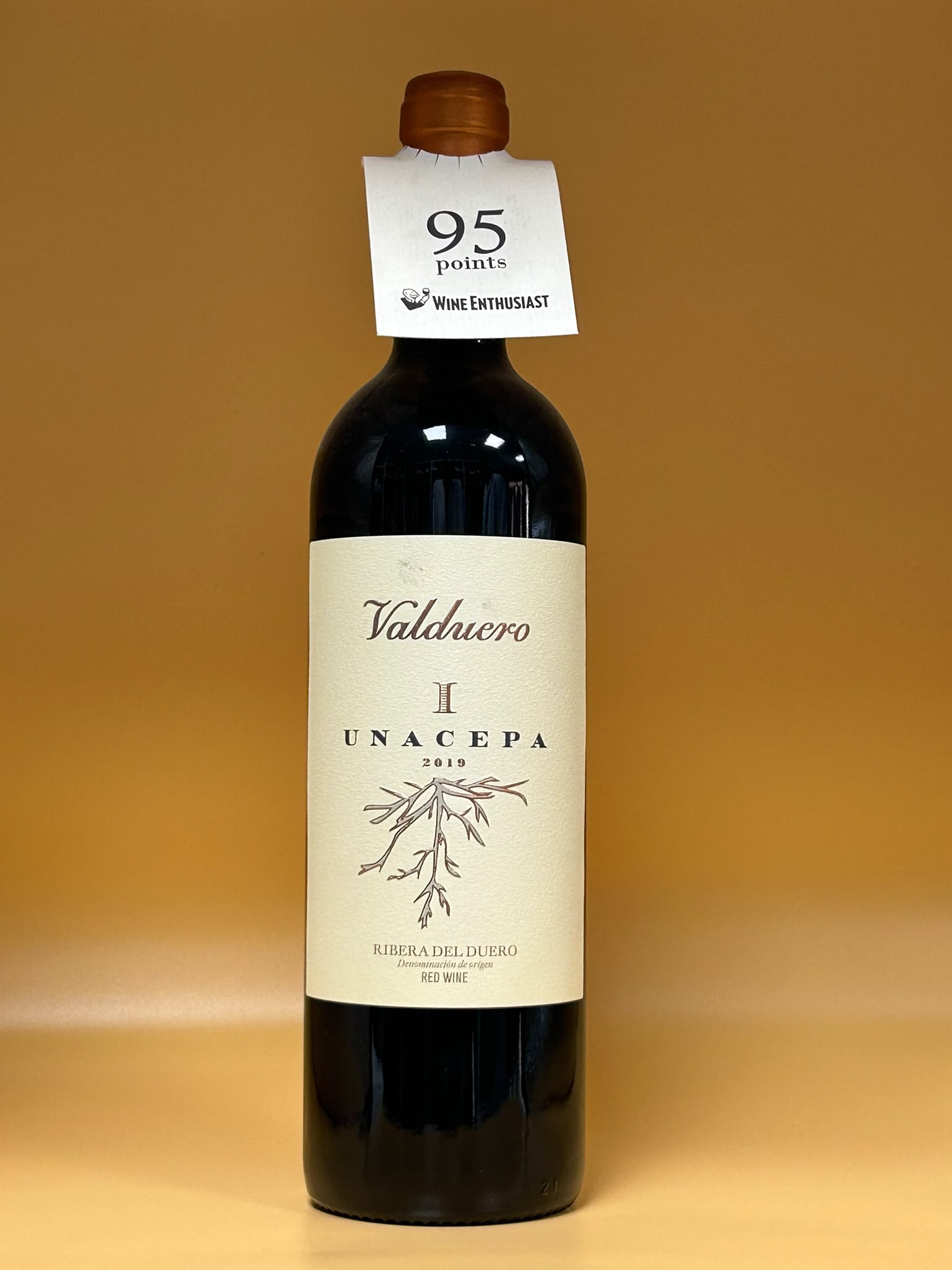 Valduero I Unacepa 2019